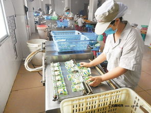 區域優勢轉化為發展動能 四川打造一批商貿物流特色鎮，食品經營煥發新活力